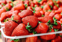 Суниця чи полуниця: яка ягода корисніша