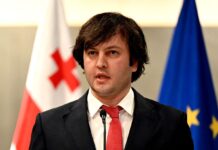 Грузія хоче стати членом ЄС разом з Абхазією та Південною Осетією до 2030 року, – прем’єр