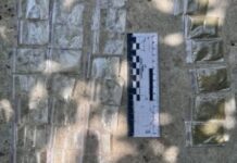 Збував наркотики у Дніпрі: працівники кримінальної поліції затримали підозрюваного чоловіка