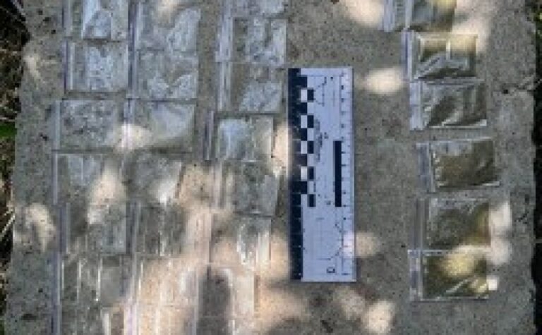 Збував наркотики у Дніпрі: працівники кримінальної поліції затримали підозрюваного чоловіка