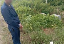 Обікрав односельця: поліція Синельниківщини оголосила підозру містянину