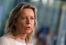 Глава Міноборони Нідерландів розповіла, коли країна почне передавати Україні F-16