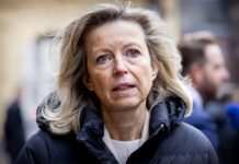 Нідерланди хочуть зібрати та передати Україні Patriot у короткостроковій перспективі