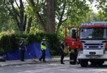 У Варшаві сталася смертельна ДТП, вірогідно, з українцями та білорусом, – ЗМІ