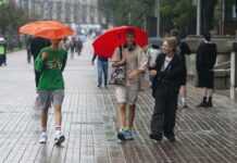 Синоптики розповіли про погоду на робочий тиждень в Україні