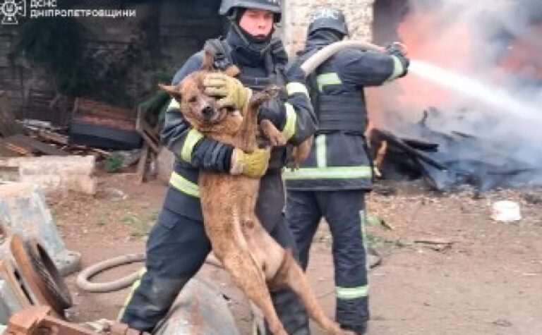 У Нікополі вогнеборці ліквідували пожежу на підприємстві та врятували песика