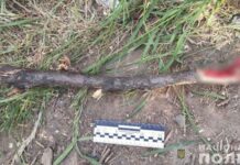 У Кривому Розі затримали двох зловмисників, які побили чоловіка та відібрали телефон