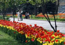 Квітень у Києві став одним з найтепліших за останні 144 роки