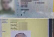 Документи з ознаками підробки виявили патрульні Запоріжжя у керманича на мобільному блокпосту