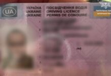 У Запоріжжі затримали чергового керманича з підробленими документами