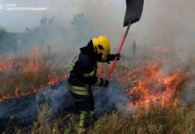 На Дніпропетровщині протягом доби рятувальники ліквідували 56 пожеж в екосистемах