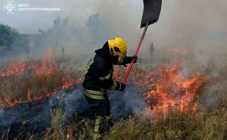 На Дніпропетровщині протягом доби рятувальники ліквідували 56 пожеж в екосистемах