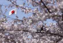 США та Японія розроблять перехоплювач гіперзвукових ракет