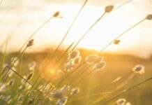 Кардинально зміниться: прогноз погоди в Кам’янському на тиждень