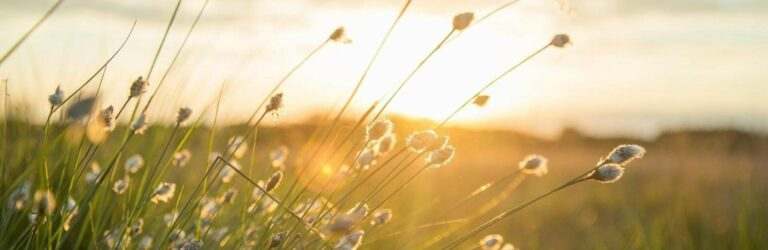 Кардинально зміниться: прогноз погоди в Кам’янському на тиждень