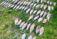 Із початку травня правоохоронці Дніпропетровщини вилучили 108 кілограмів риби, яка здобута незаконним шляхом