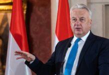 Чи збирається Угорщина повертати військовозабов’язаних біженців назад в Україну. Відповідь віце-прем’єра