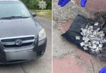 Виявили речовини, схожі на наркотичні: у Дніпрі затримали водія у стані наркотичного сп’яніння