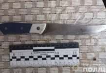 Вбила чоловіка та заховала тіло у підвал: поліцейські Дніпра повідомили про підозру зловмисниці