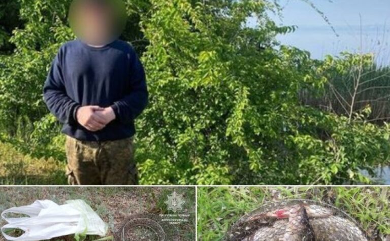 Водний патруль Дніпра виявив громадян, що виловлювали рибу під час нерестової заборони