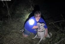 Запорізькі надзвичайники врятували собаку з комунікаційного колодязя