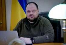 Спікер Ради зустрівся з Ердоганом: обговорили саміт миру та повернення полонених з РФ