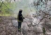 У Запоріжжі ліквідували пожежу на території Національного заповідника «Хортиця»