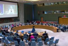 На засіданні Радбезу ООН обговорили Саміт миру