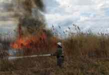 ДСНС: на Херсонщині минулої доби горіли три поля з пшеницею через російські обстріли