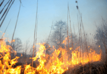 За минулу добу надзвичайники Запоріжжя ліквідували 5 пожеж в екосистемах