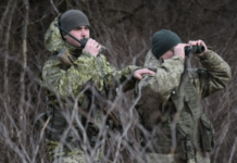 Влітку прикордонники посилено працюватимуть у туристичних районах Закарпаття: деталі