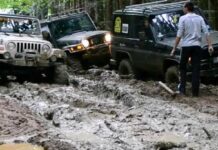 Штрафи до 25 000 грн: Кабмін підтримав введення нової заборони для водіїв