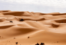 Україну знову накриє пил із Сахари