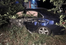 Дивом вижив: на трасі Кривий Ріг–Дніпро патрульний з Харкова влетів під вантажівку