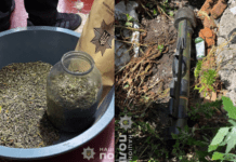 На Запоріжжі у містянина вилучили гранатомет, боєприпаси та канабіс: деталі