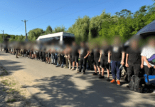 47 ухилянтів за раз: біля кордону з Молдовою зупинили «кортеж з втікачами»