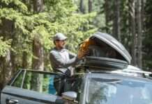 Сезон пікніків: як правильно їздити по траві на авто