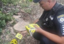 У Новомосковському районі поліцейські виявили «чорних» лісорубів