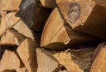 В уряді назвали категорії громадян, яких безкоштовно забезпечать дровами на зиму: хто отримає допомогу