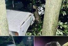 У Запоріжжі сталася чергова ДТП за участі водія з ознаками сп’яніння