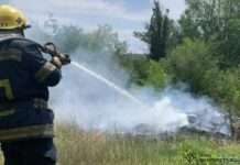 Впродовж доби вогнеборці ліквідували 3 пожежі на відкритих територіях у Запоріжжі та Запорізькому районі