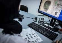 У Молдові за участі ФБР пройшли обшуки у справі про перешкоджання Інтерполу