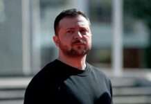 Росіяни поширюють фейк, що Зеленський нібито придбав казино на Кіпрі, – ЦПД