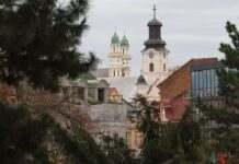 В Ужгороді підняли ціни на проїзд у громадському транспорті: скільки коштуватиме квиток