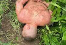 Скандал з Тищенком: поліція встановила причетних до нападу на ексвійськового у Дніпрі