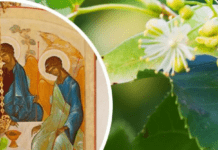 Трійця 2024: коли відзначати, основні традиції та заборони свята