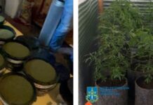 Налагодив збут особливо небезпечних наркотиків: прокурори Кам’янського відстояли у апеляційному суді покарання чоловіку