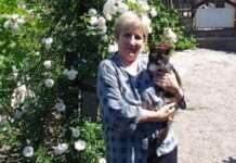 У Запоріжжі надзвичайники врятували котика, який кілька днів сидів на дереві