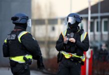 У Німеччині понад 300 правоохоронців четверту добу шукають девʼятирічну українку