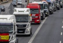 В Україні хочуть забронювати від мобілізації всіх перевізників